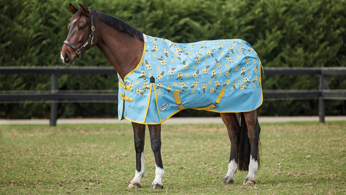 Types of Turnout Rugs for Horses