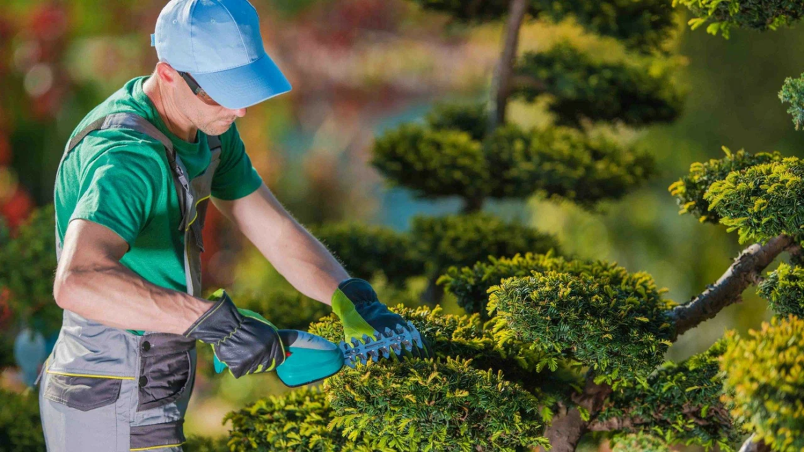 Where is the best landscaping maintenance near me